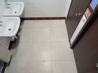 В одном из санузлов